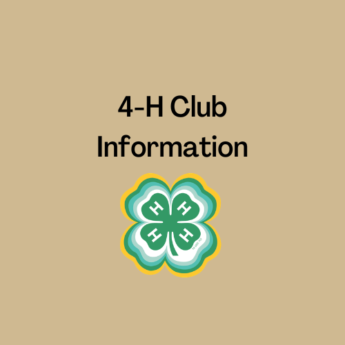 club information