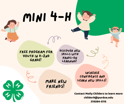 Mini 4-H 