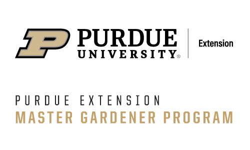 EMG-Brand-2-color.png