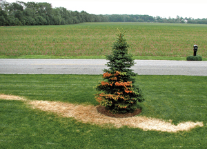 There is a fine line between mischief and vandalism. In the photo above, a deliberate release of pesticide was meant to damage property.