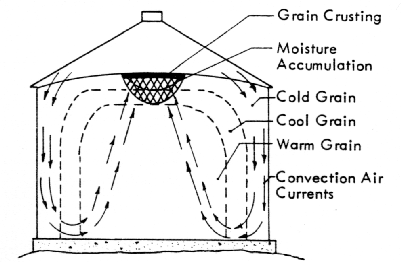 Grain Moisture Storage Chart