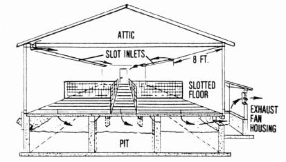 hog house building plans Quotes