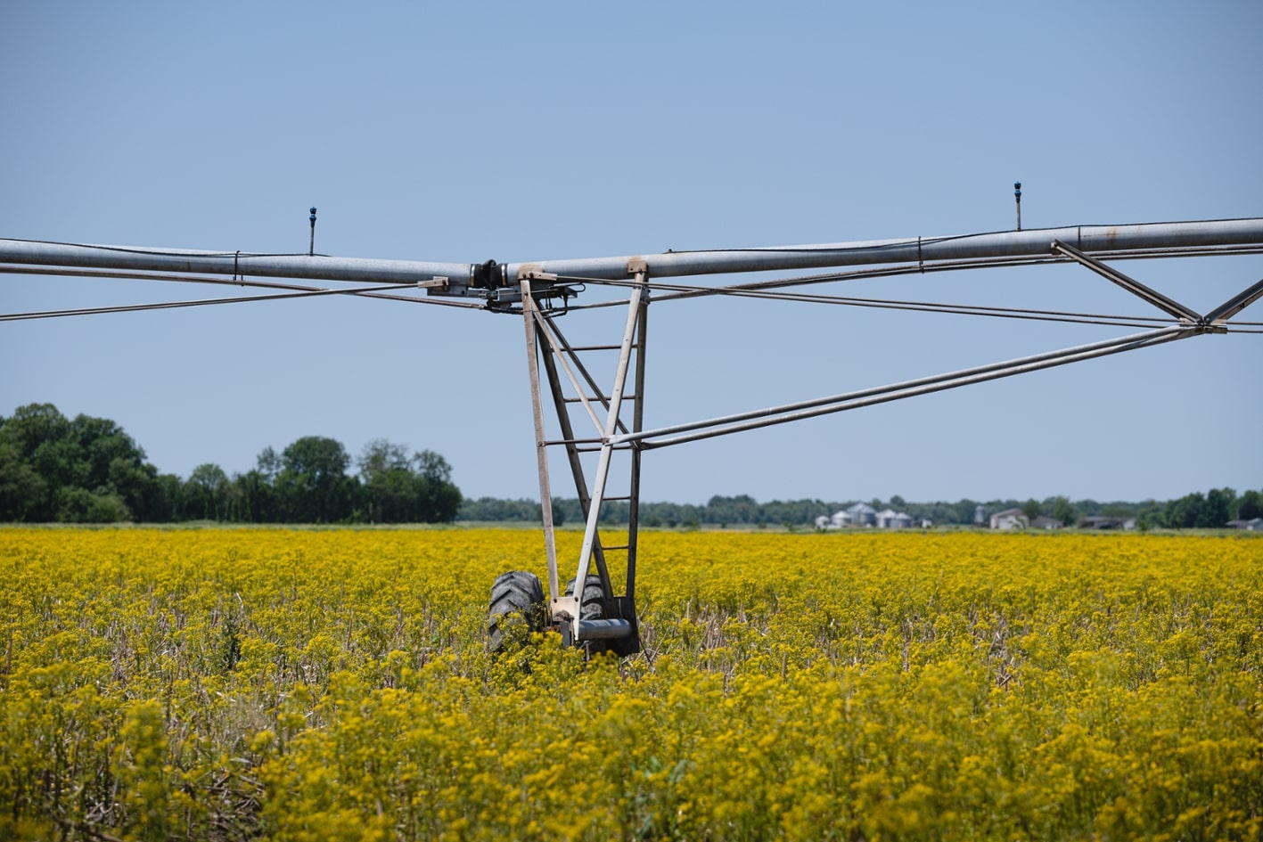 farm field with irrigation 