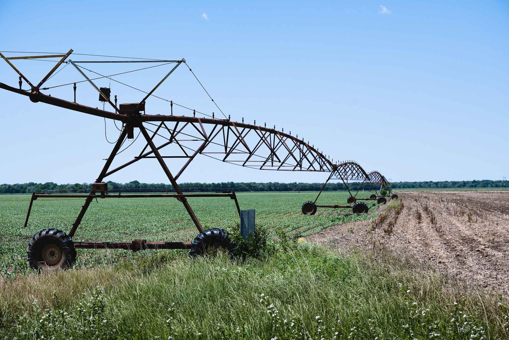 Irritation System in field