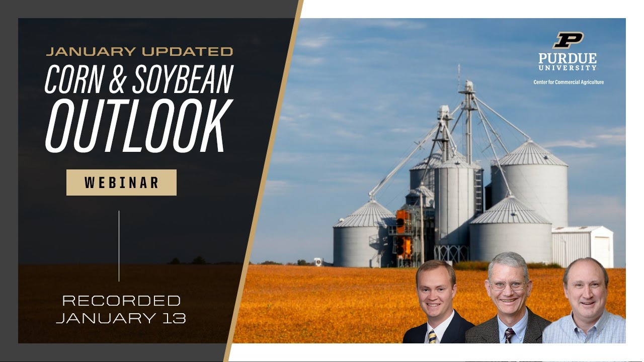 cornsoybeanjan.jpg