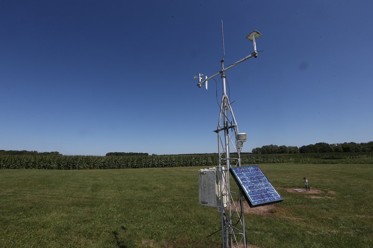 Weather Vane