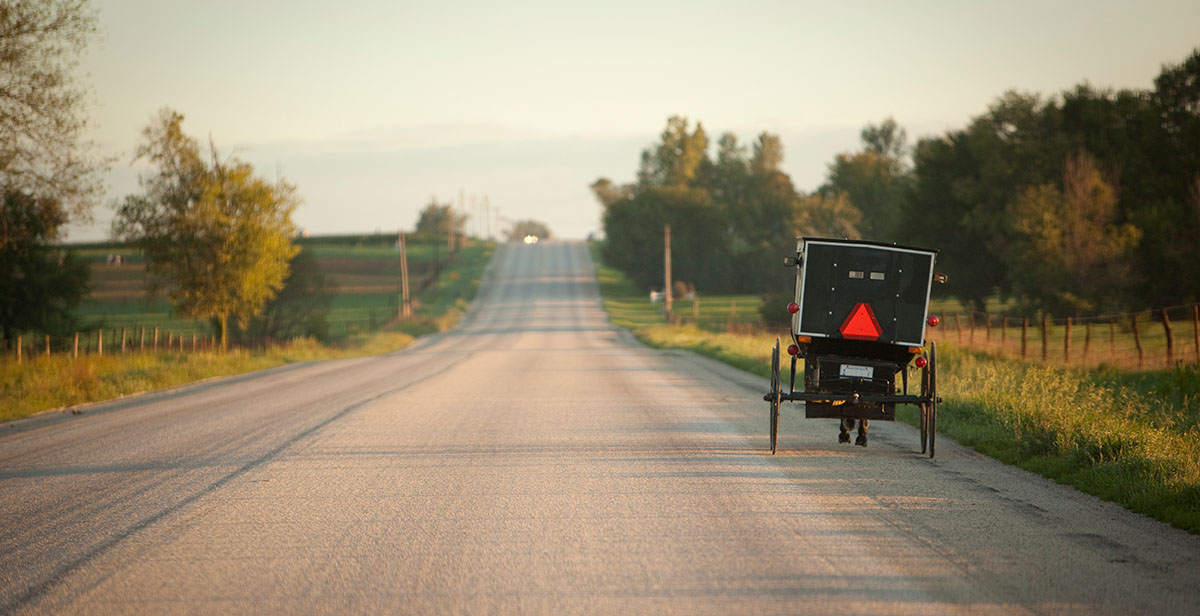 Horse drawn buggy travels down road.