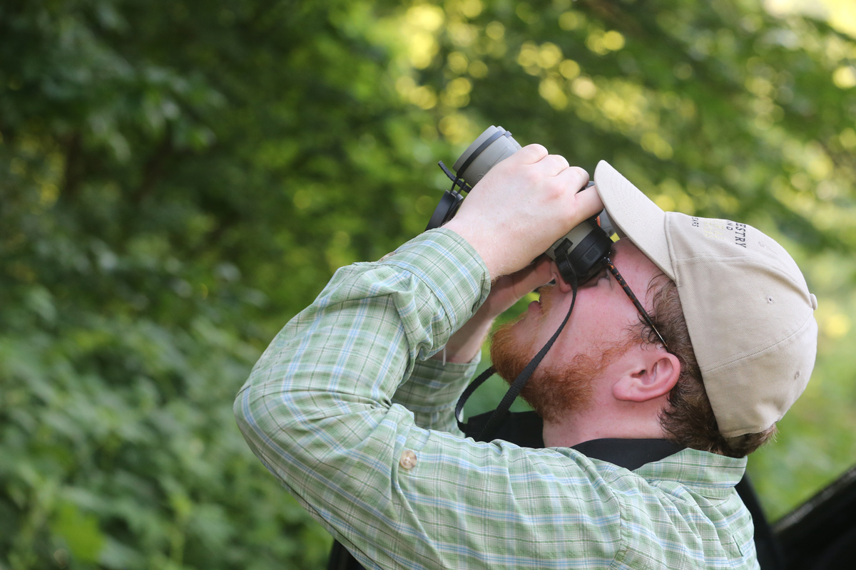 Man uses bincoluars to look up at tree. 