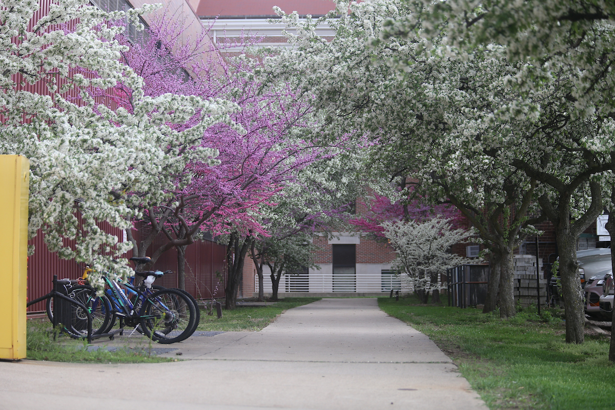 Purdue University