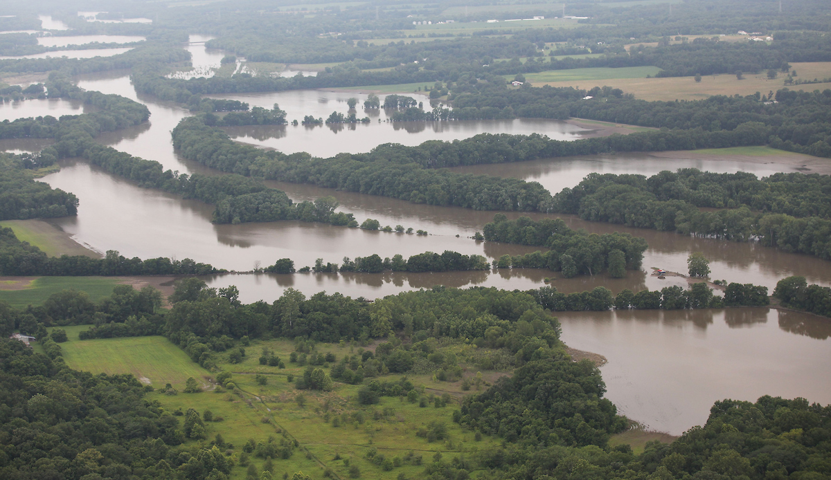 flooded melons in farm field