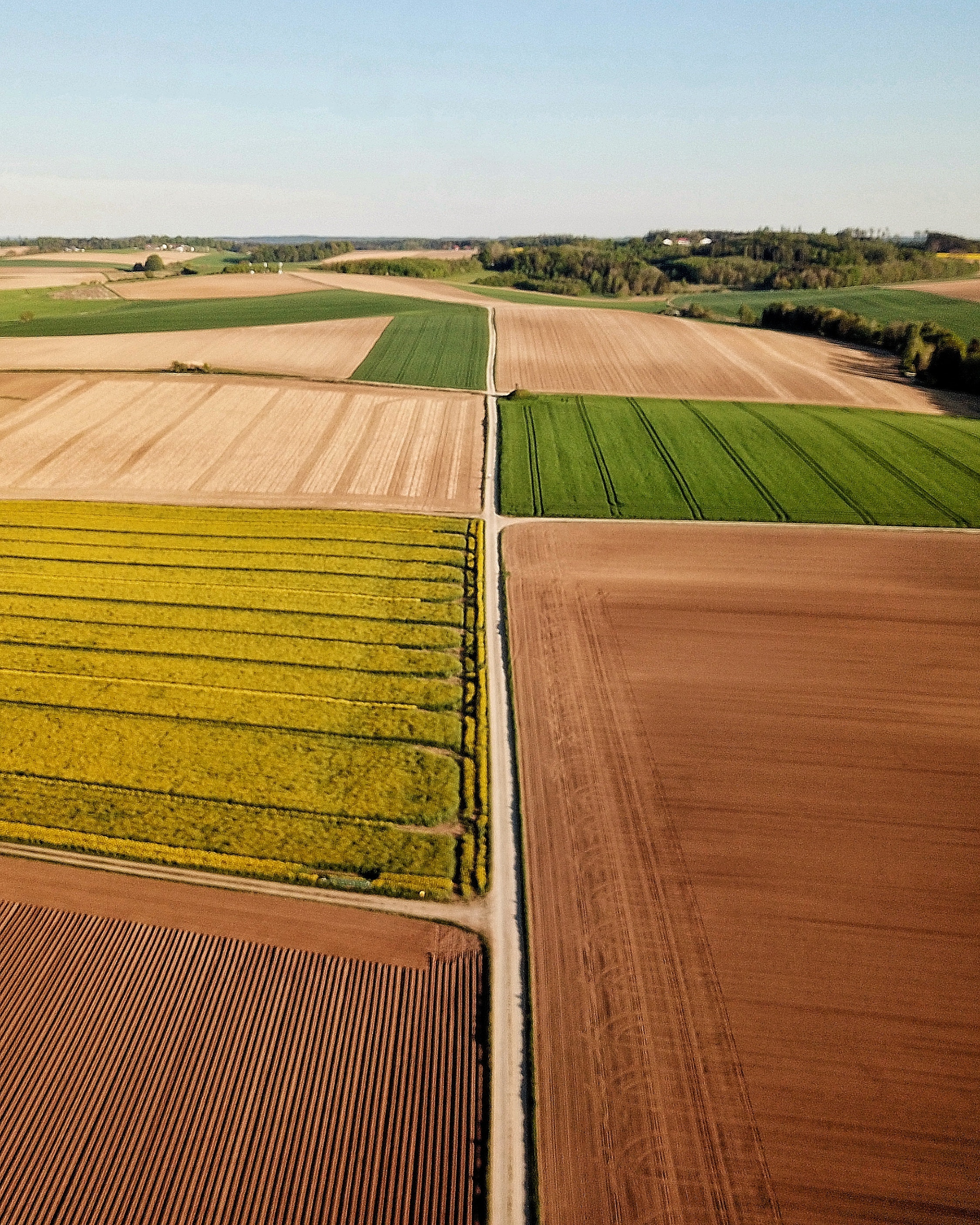 farm fields in rural country, Indiana