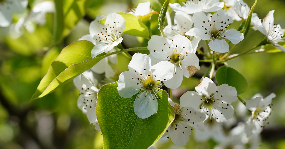 Indiana 2022 Spring Climate Outlook