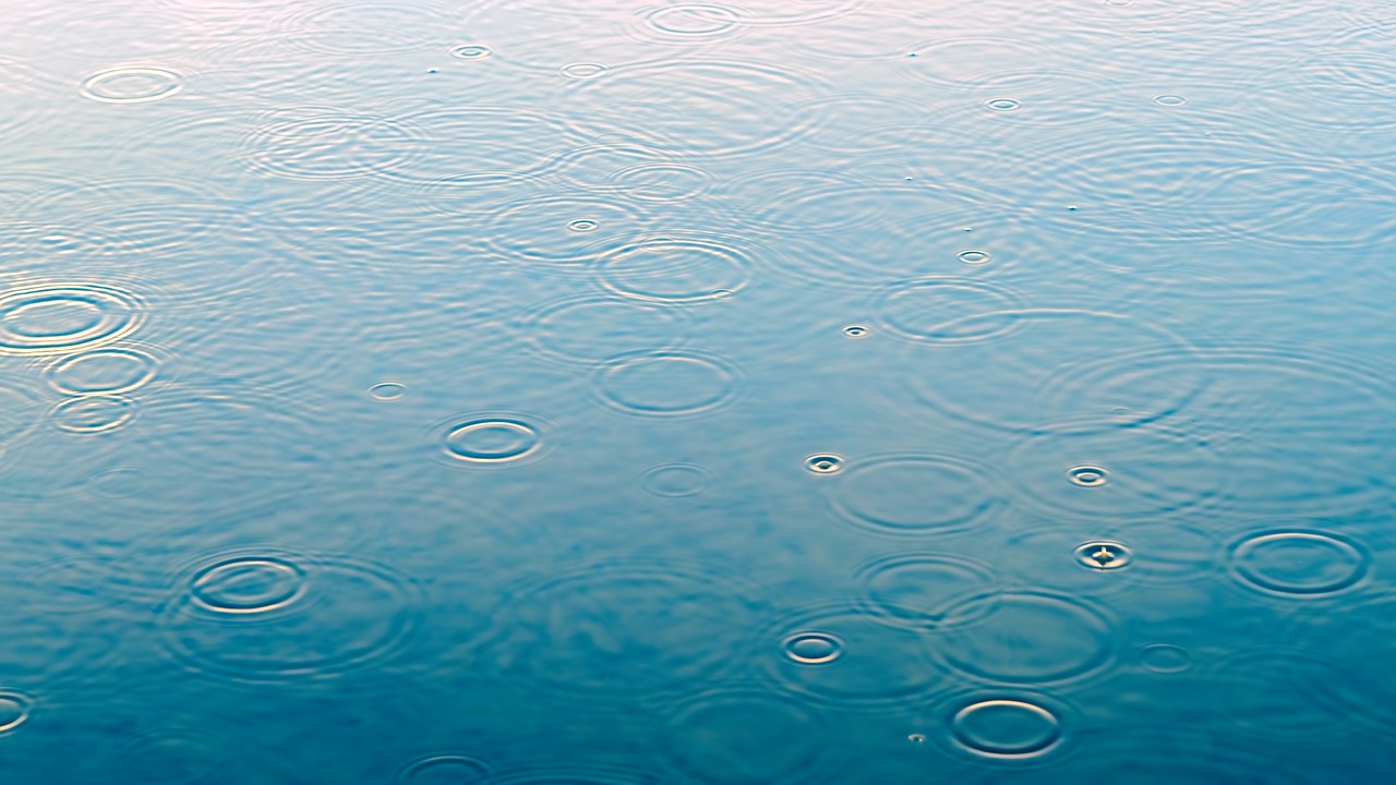 raindrops in a puddle