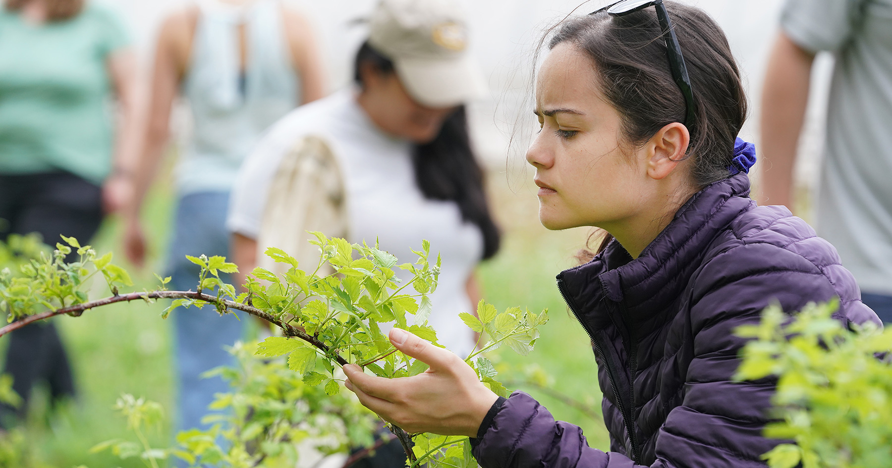 woman looking at plant