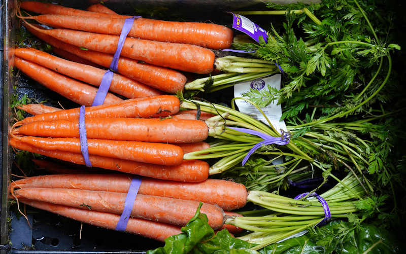 bundles of orange carrots