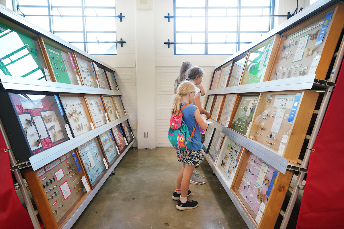 Girl with backpack looks at Indiana 4-H poster display projects.