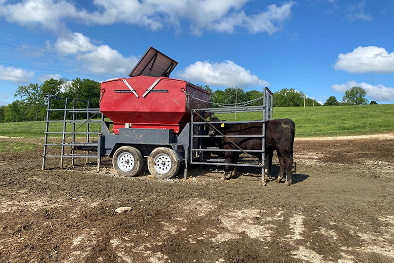 Producers are invited to attend Purdue University Extension's Twilight Tour at Feldun Purdue Agricultural Center on June 25. (Photo provided by Ron Lemenager)