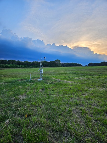 evening sky in a field
