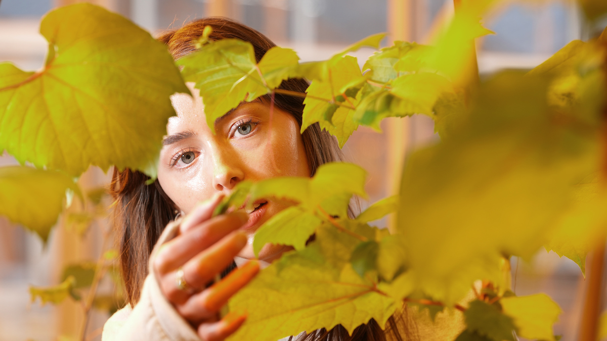 Purdue University student studying leaves.