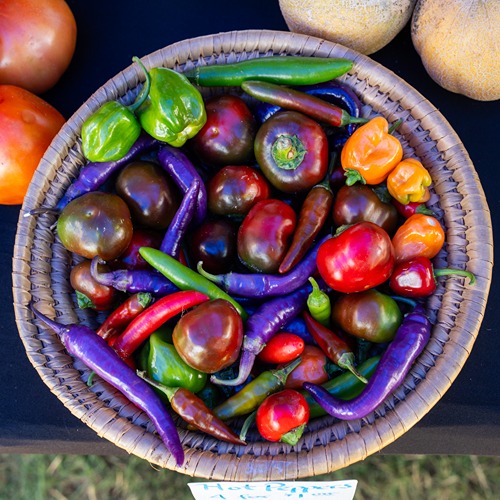 A picture of colorful, fresh produce on a table.