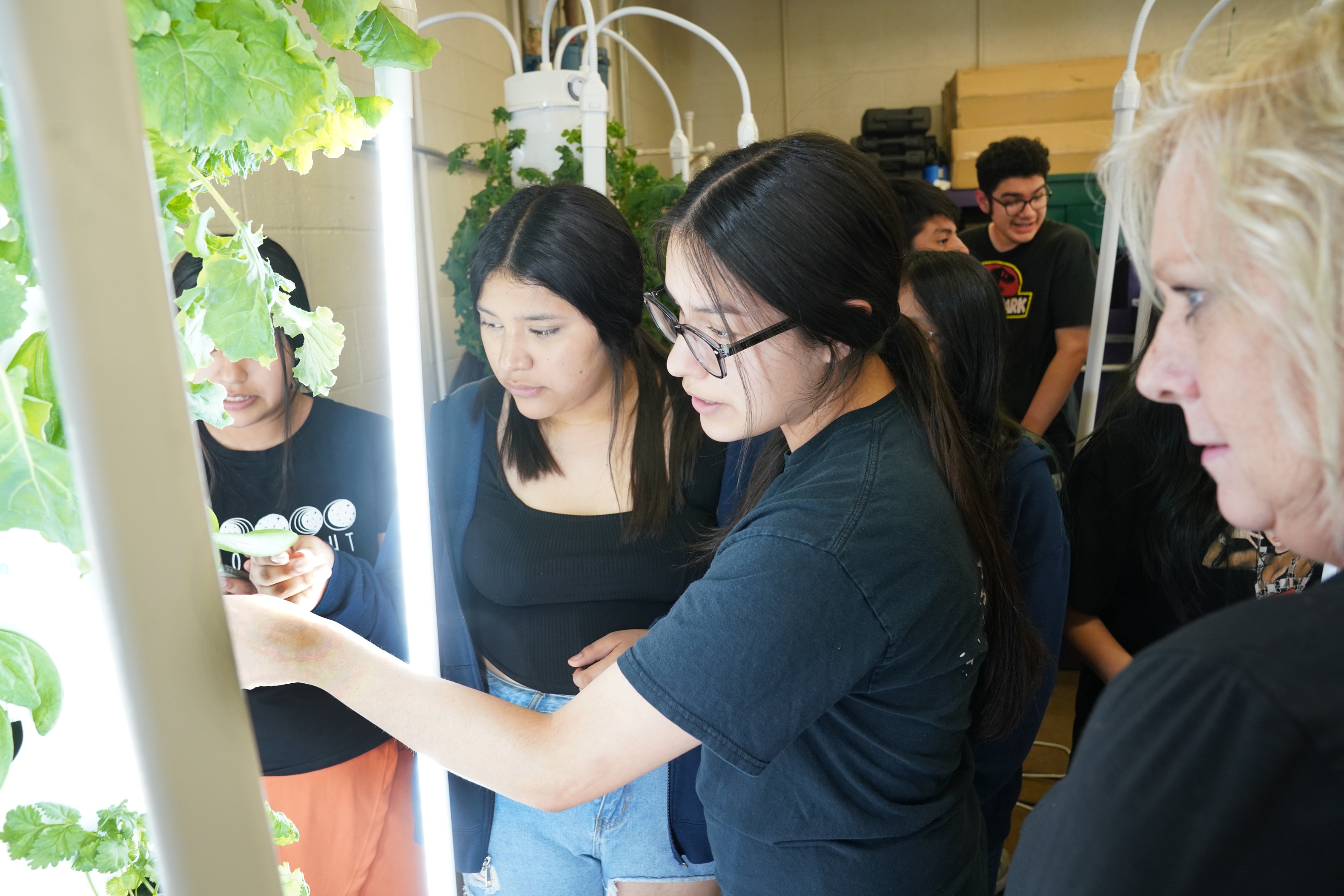 Three students gather around a hydroponic tower to examine lettuce leaves.