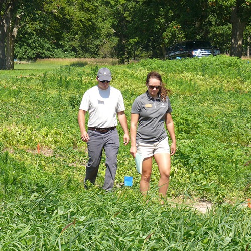 Two people walk through a weed research plot