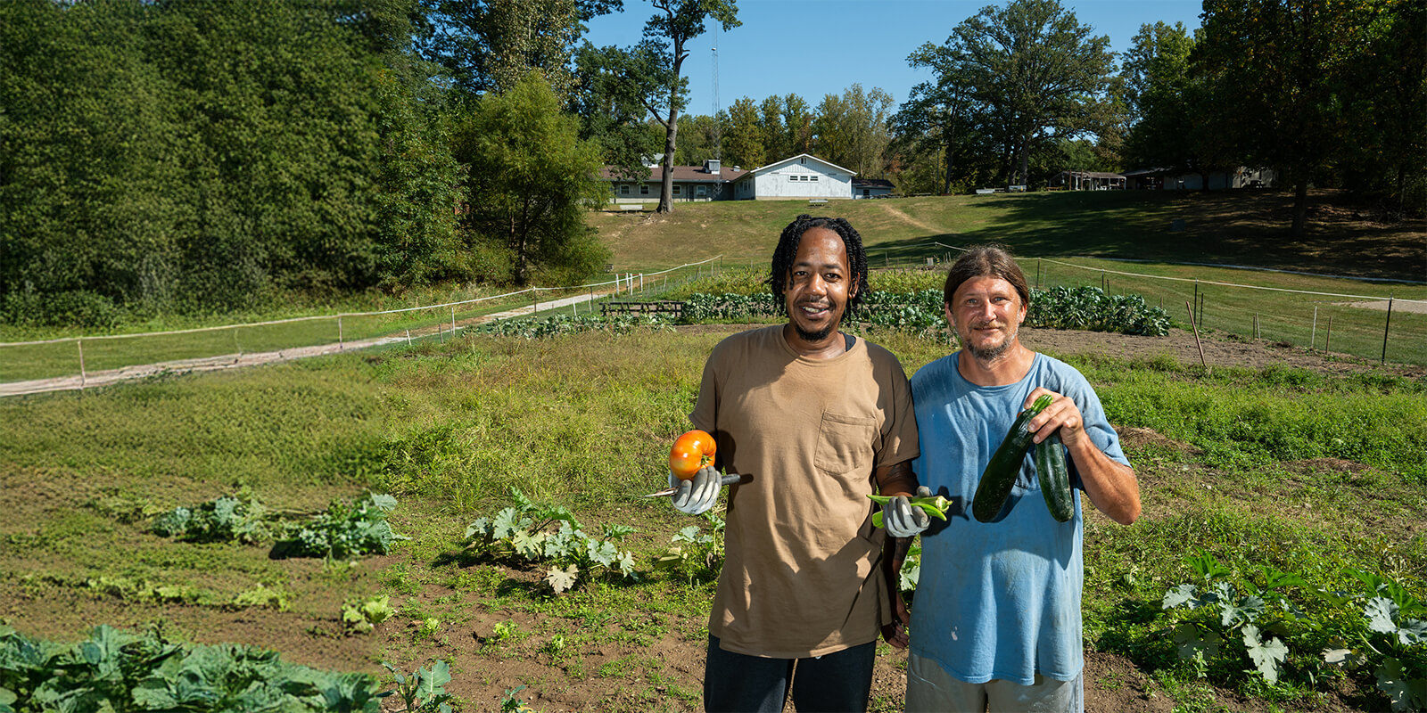 male adults harvesting vegetables