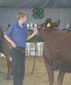 Kyle Mohler presenting a cow in at the fair
