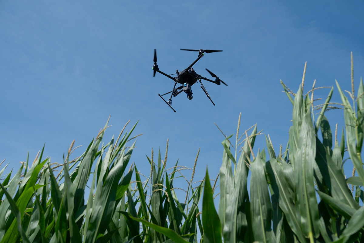 A drone scouts a corn field at the Indiana Corn and Soybean Innovation Center. (Joshua Clark) 