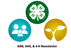 anr, hhs, and 4-h newsletter