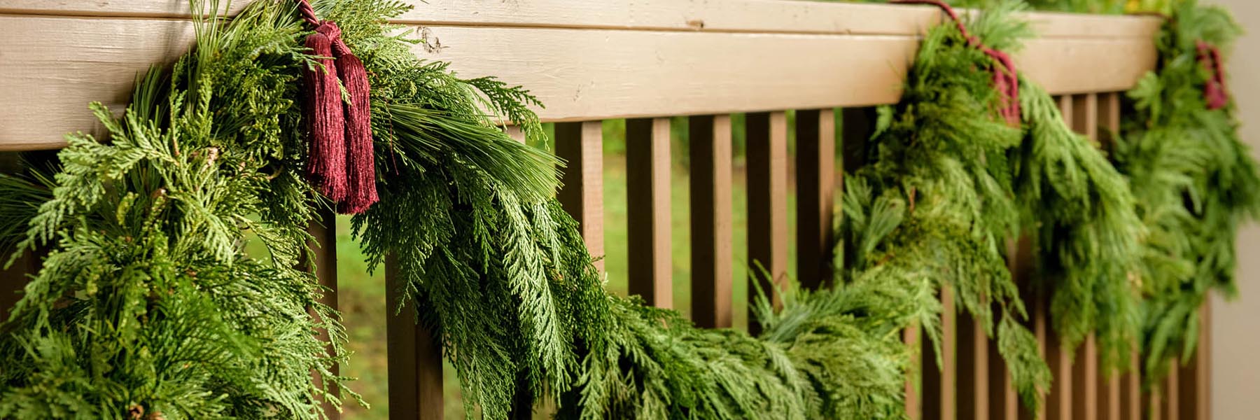 2021 Evergreens Sale