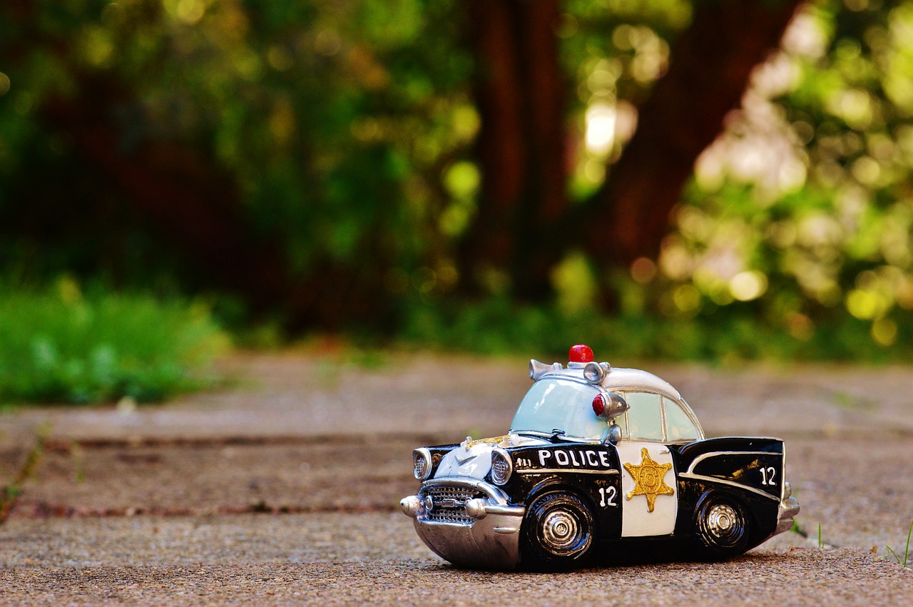 police car