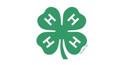 4-Hclover.jpg