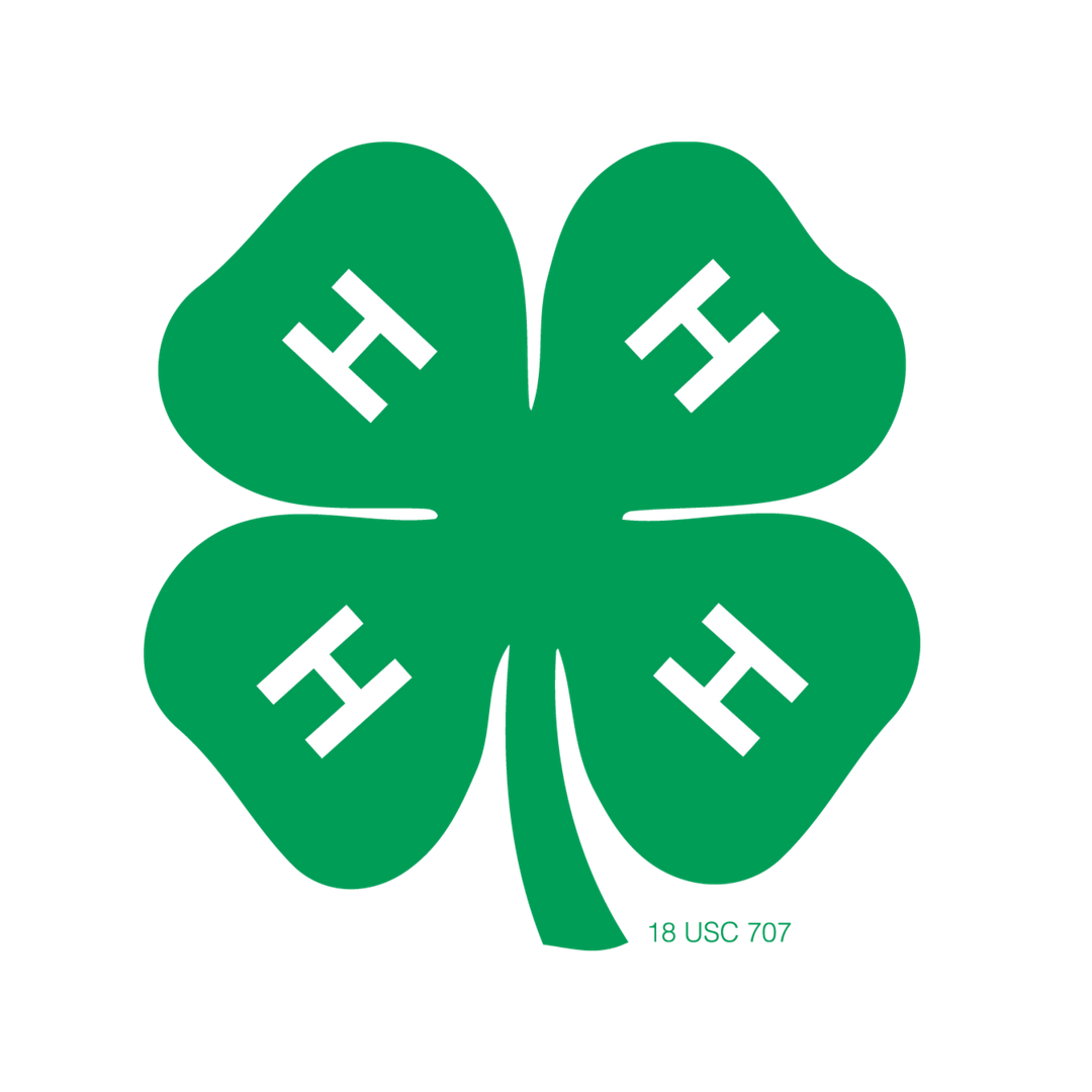 4-H Clover