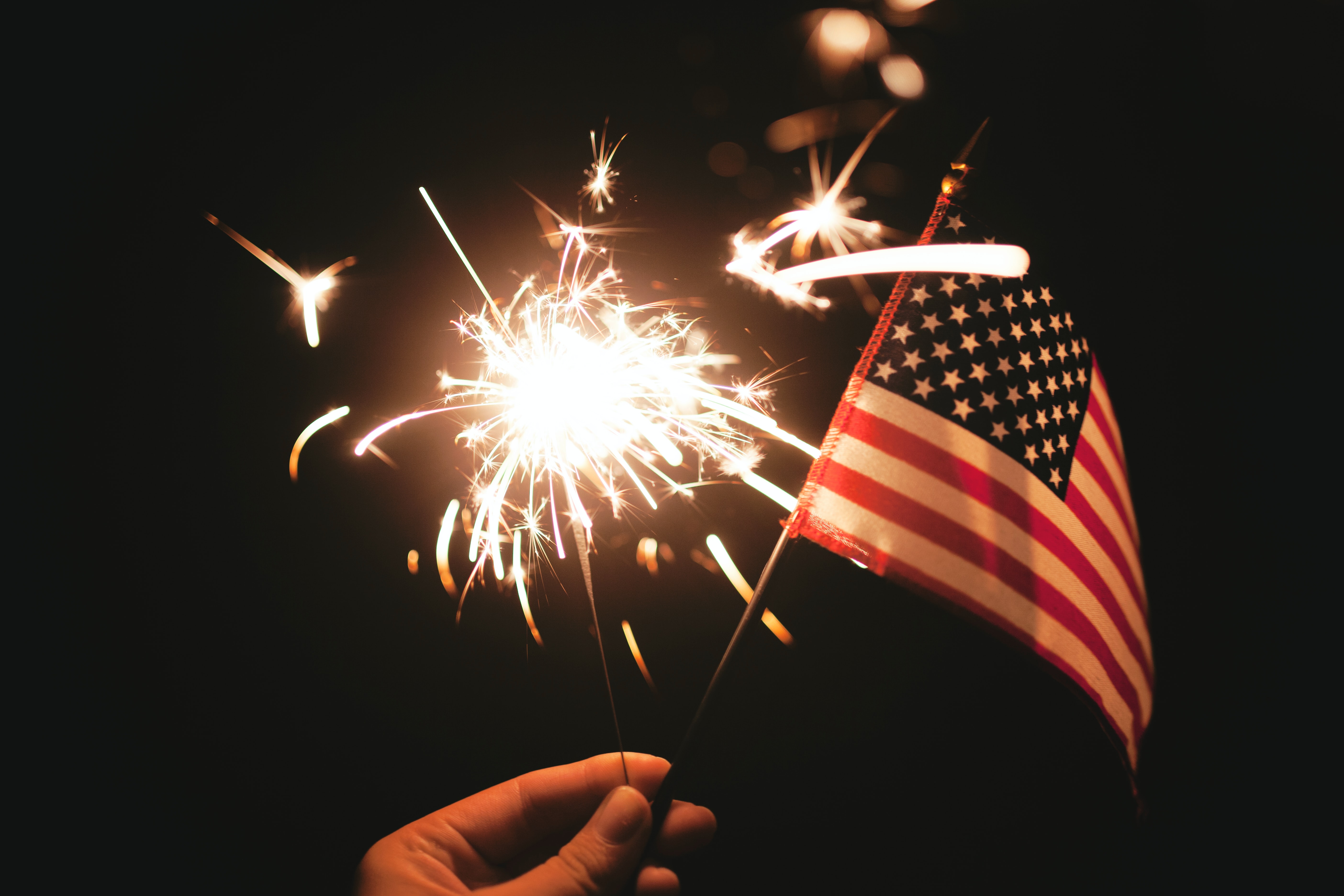 Firework Fanatics