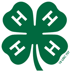 4-Hclover.jpg