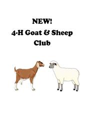 4-HgoatSheep.jpg