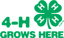 4-HgrowsHere.jpg
