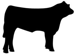 beef.jpg