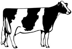 dairyCow.jpg