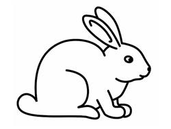 rabbit.jpg