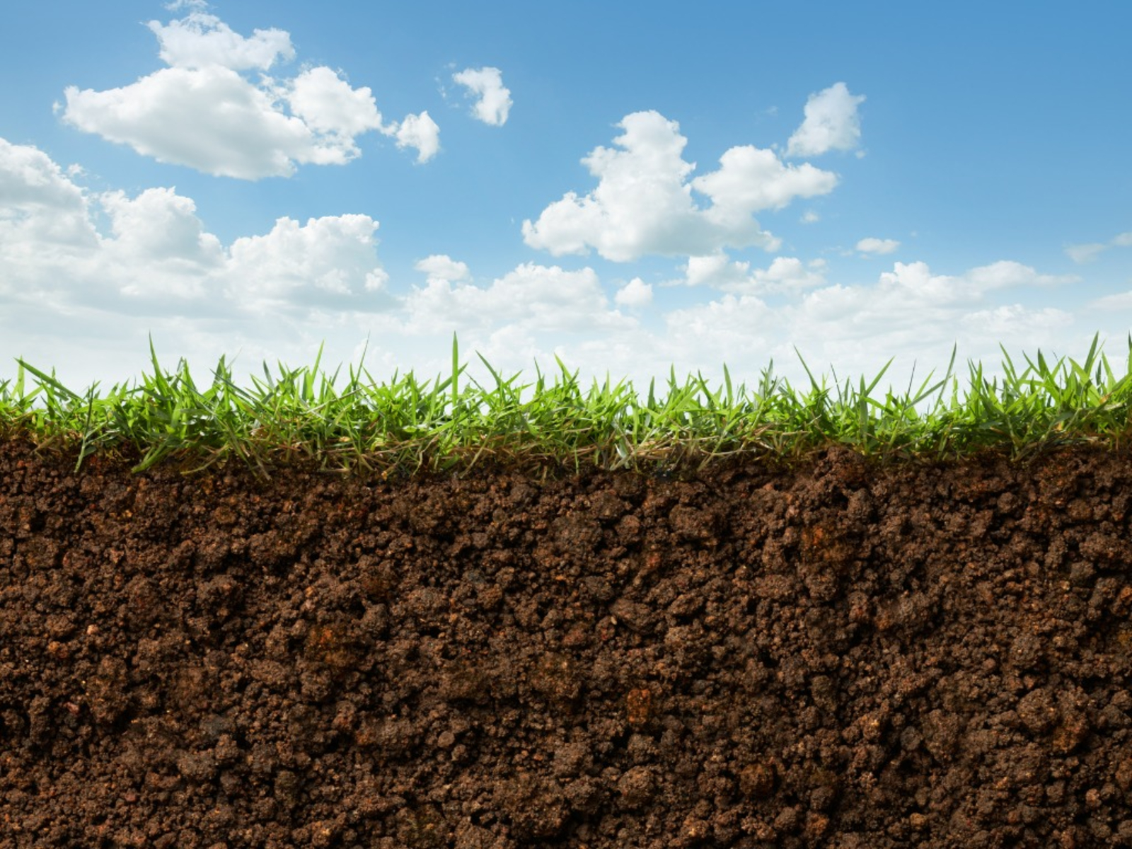 Gibson/Pike SWCD Soil Amendments Workshop