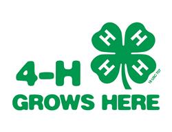 4-HgrowsHere.jpg