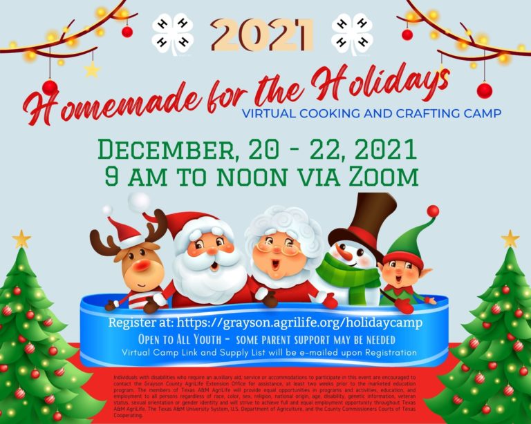 2.0-holiday-crafts-camp-768x614.jpg