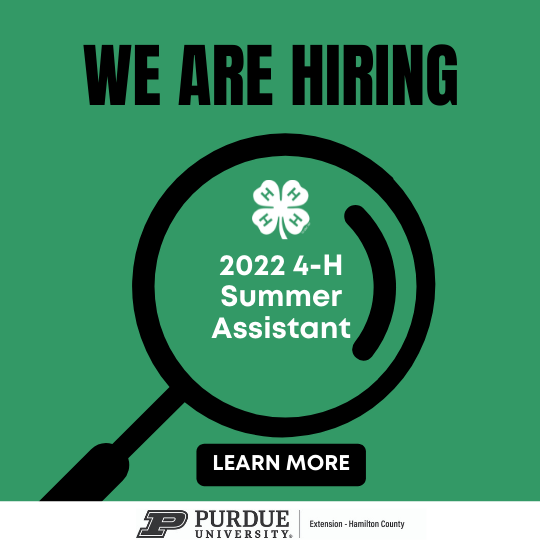 2022-summer-assistant.png