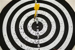 target.jpg