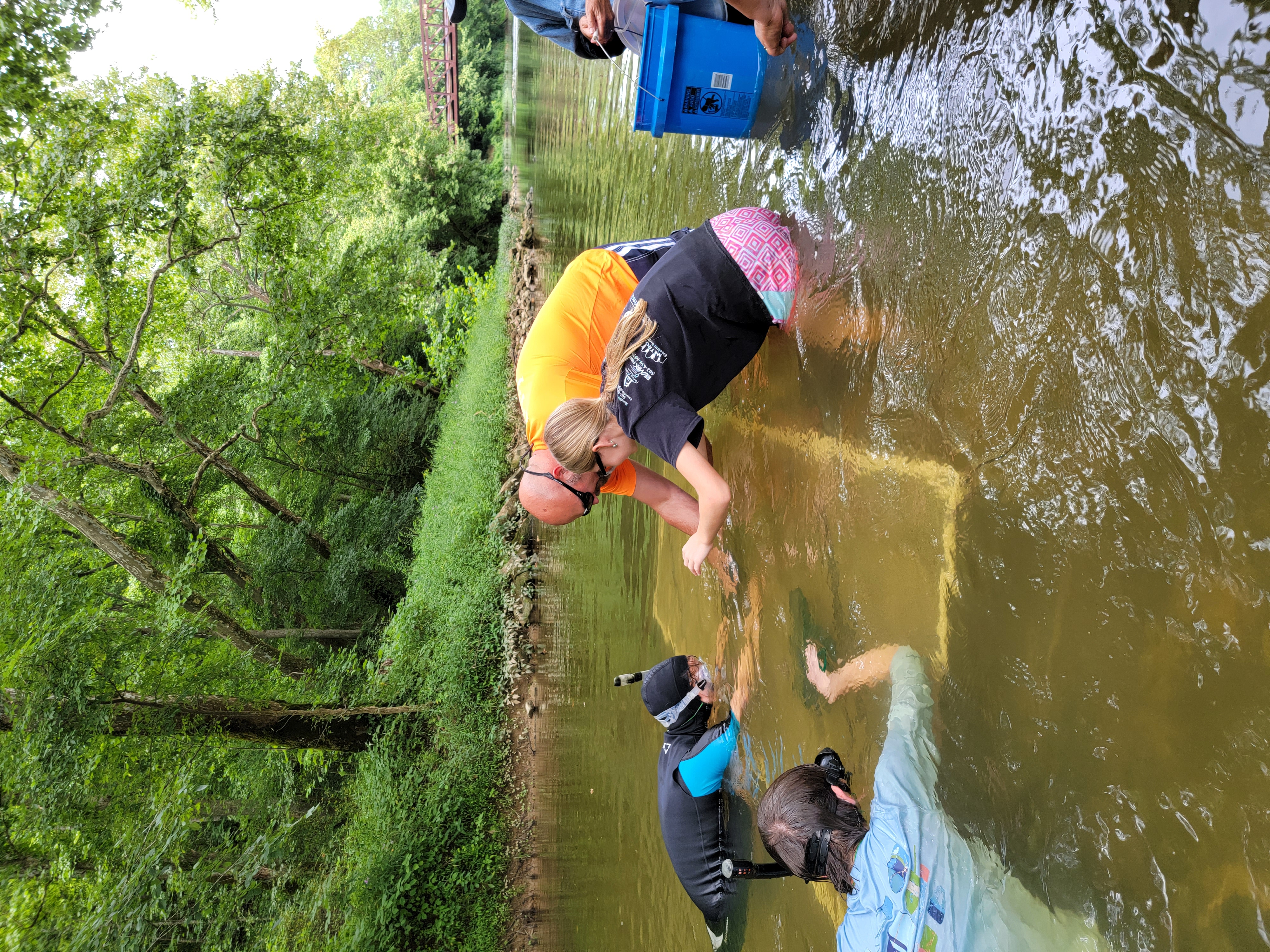 4-H member releasing hellbender
