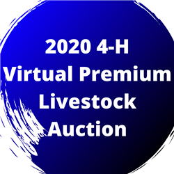 virtual4-H.jpg