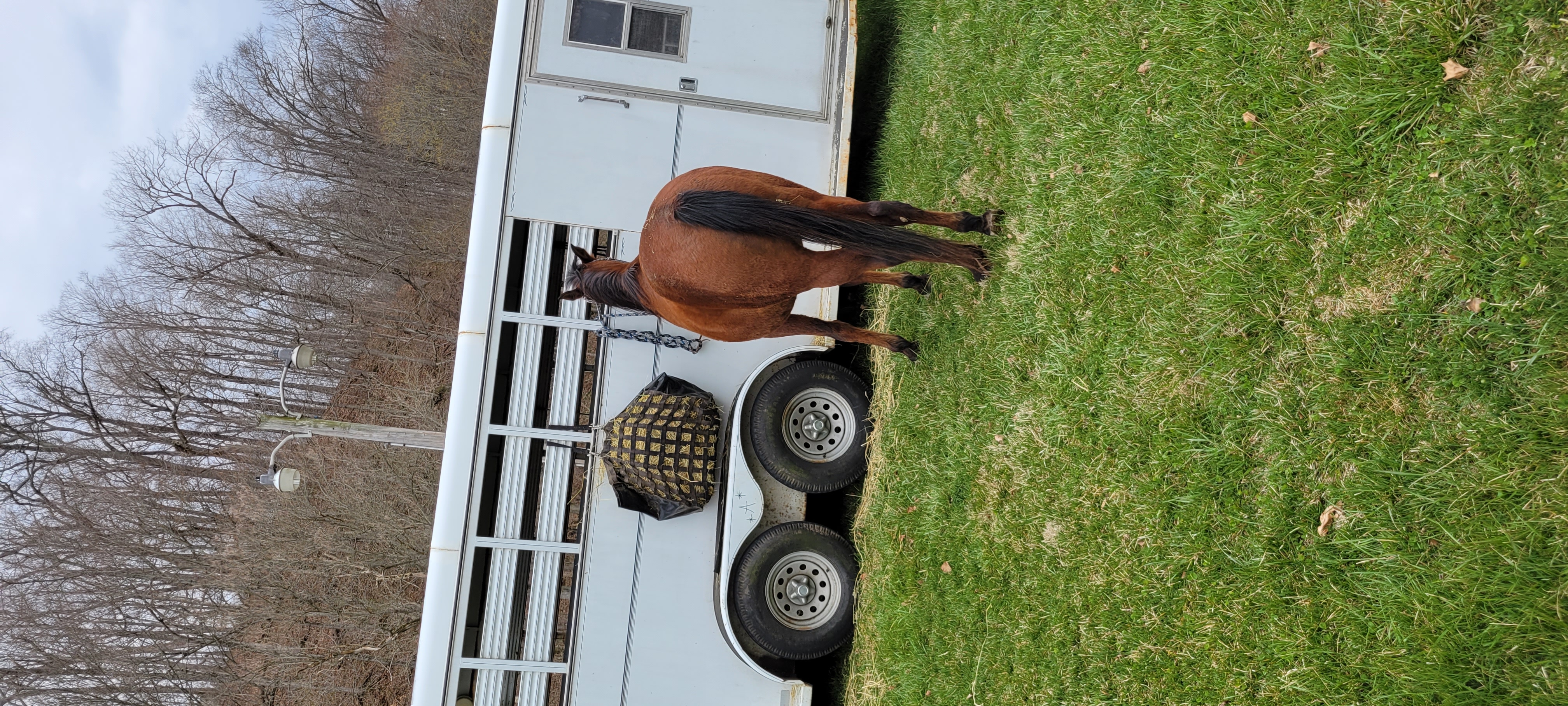 horse and trailer