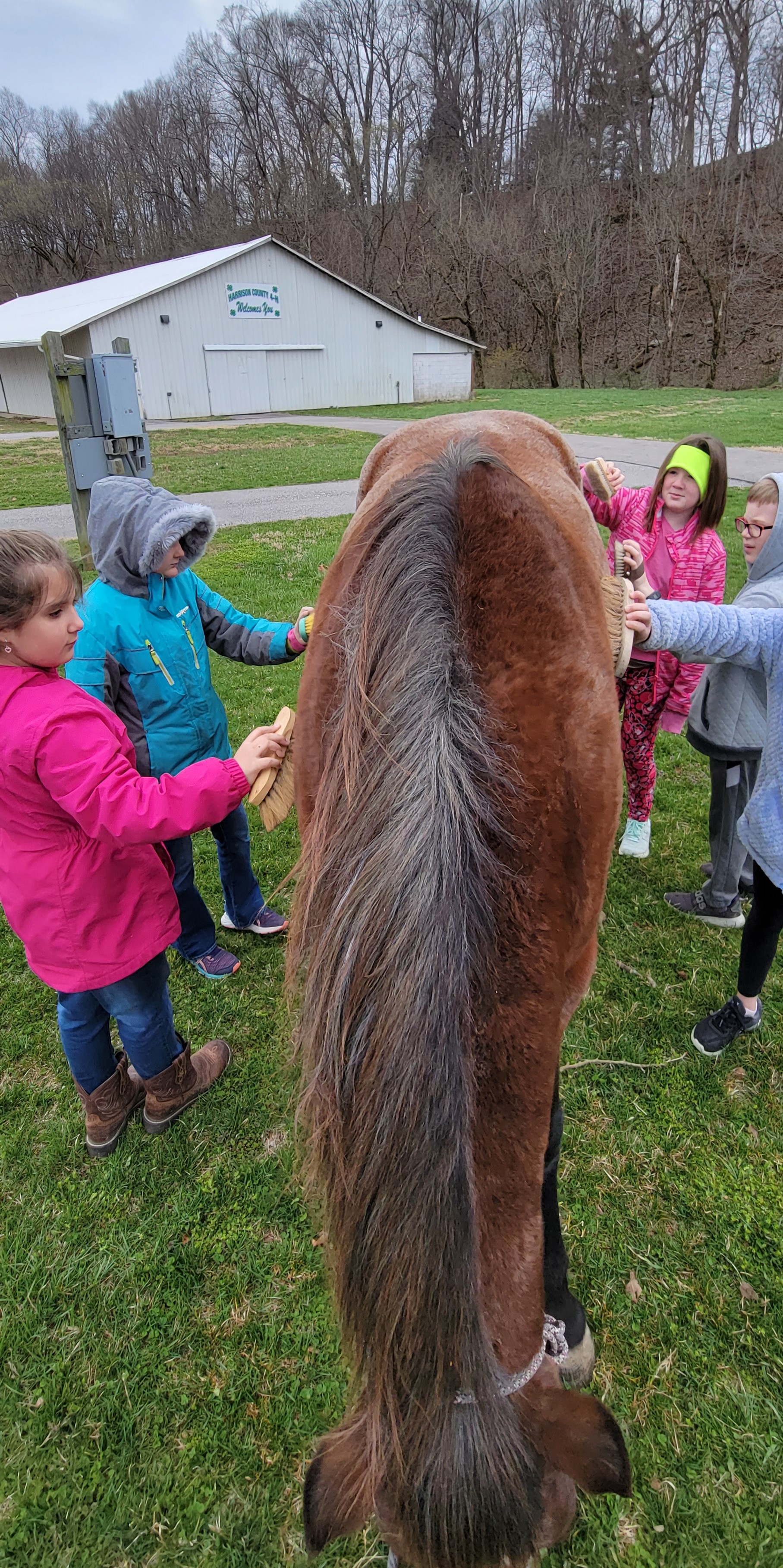 children outside vet